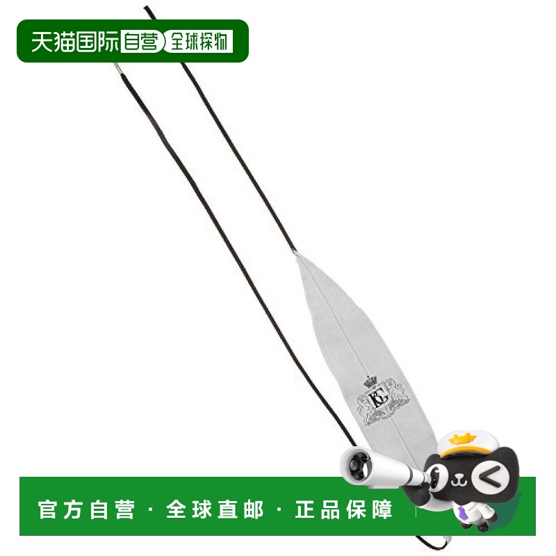 【日本直邮】BG 金管乐器清洁布 LEAD PIPE小号 微纤维布 A31T