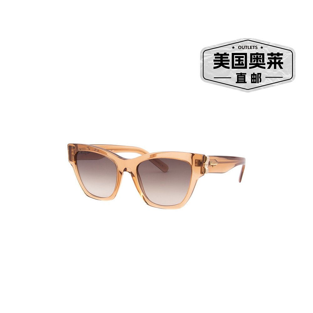 自营Salvatore Ferragamo 女士 SF1010S 53 毫米太阳镜 - 棕色 美