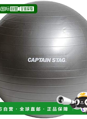 【日本直邮】鹿牌 运动健身核心训练健身球 Φ65cm 银白色UR-863