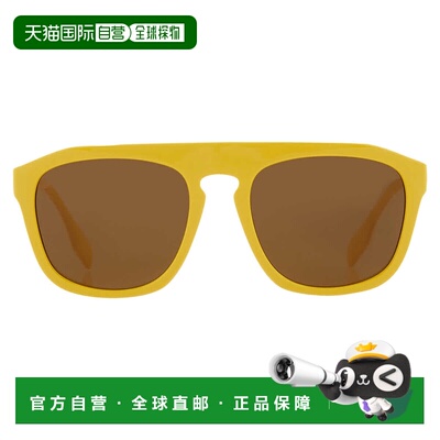 自营Burberry Wren Brown Browline Men's Sunglasses BE4396U 40