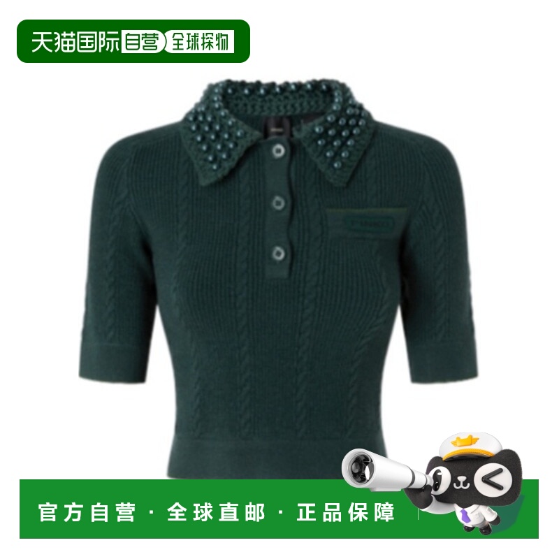 1h可退 香港直邮PINKO 女士针织衫 105484A2QZX34 AW2025 绿色 Pi