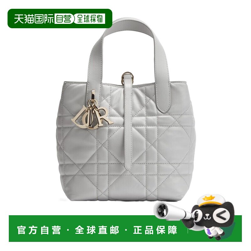 Dior 小号 Dior Toujours 手提包托特包单肩包 M2835OSNW