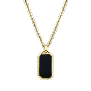 自营 adornia男士防水黑色狗牌绳链吊坠项链金色 - 黄色 美国奥莱