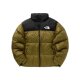 NF0A3C8D5HO1 THE AW2024 男士 羽绒服 NORTH FACE