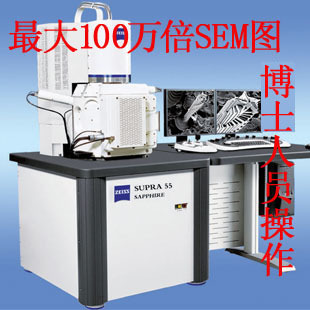 SEM扫描电镜测试服务 专业形貌分析 EDS能谱/电子显微镜磁性检测