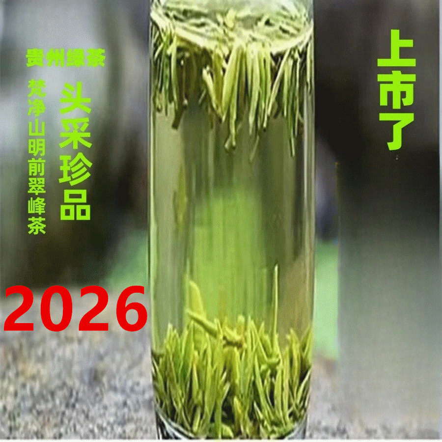 2026春新绿茶贵州梵净山明前头采翠峰 雀舌茶叶浓香炒青特级送礼