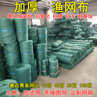 渔网布抬网养鱼网箱养殖青蛙螃蟹甲鱼小龙虾防逃网池塘围尼龙网片