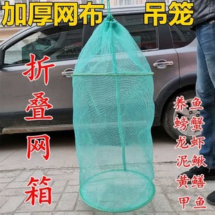 养鱼网兜折叠网箱速干防逃养鱼龙虾螃蟹泥鳅黄鳝吊笼定制存鱼鱼护