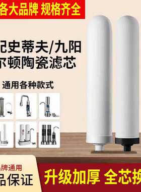 适用于史蒂夫净水器滤芯SAT900-11通用  净水机陶瓷滤芯