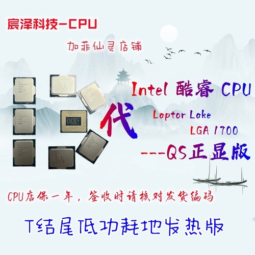 13代i5i913400T13900T低功耗CPU
