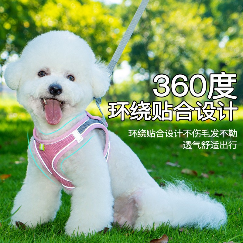 小猫狗链柯基加粗背带绳宠物牵引带猫链栓狗绳子防挣脱不勒脖博美