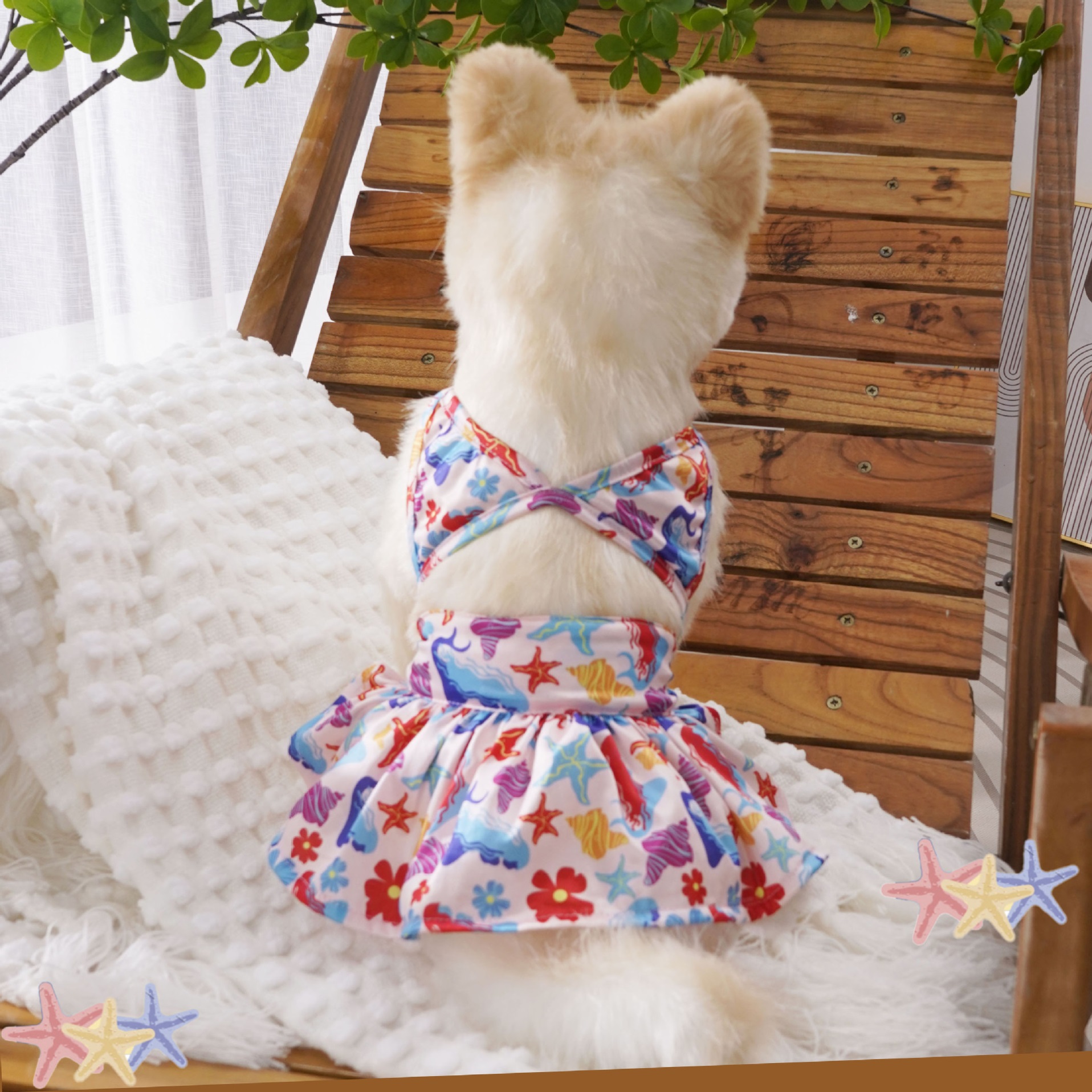 博美沙滩运动比熊时尚狗狗泳衣小型犬2024泳装海边搞怪洋气比基尼