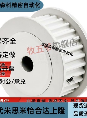 TAAS3M-48-060-P8 P10 P12.7 N12 N14 N15 N16 N17 N19 N20同步轮