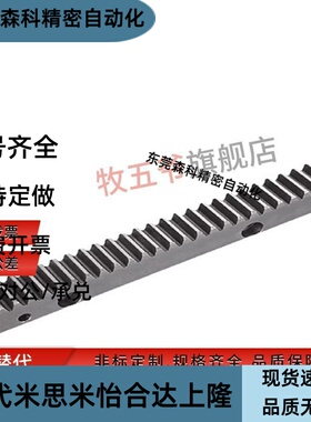 齿条RGEA1.0/1.5/2.0/2.5/3.0-300/500-N/A/ST/Z可