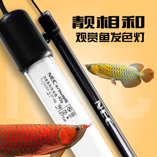 正品靓相和nec鱼缸灯潜水龙鱼灯三基色防水T8T10灯金龙红龙发色灯