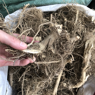 五月客家艾根2斤包邮 纯老艾根 艾叶根 艾根艾草根 大艾头