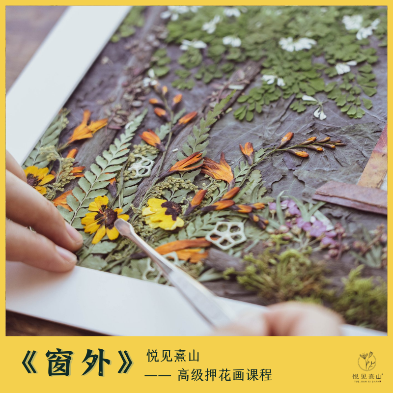 森系植物押花画 diy手工材料包 《窗外》(含制作材料 视频教程)