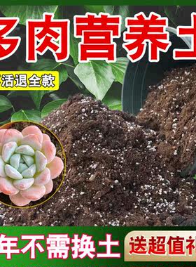 【送礼包】多肉适用土疏松透气盆栽绿植专用室内植物营养土肥料