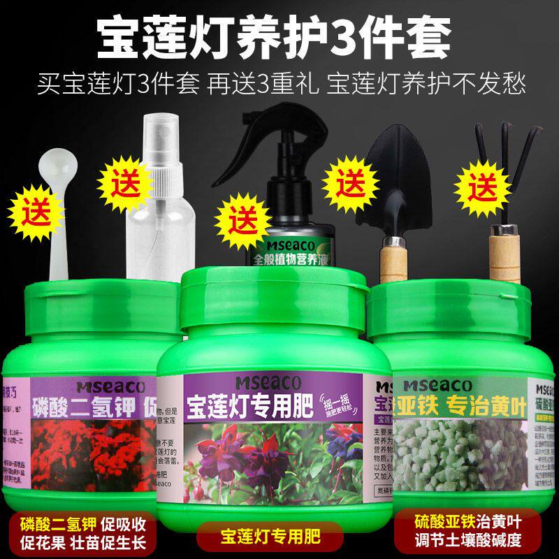 宝莲灯专用肥宝莲花肥料绿叶营养液盆景栽珍珠宝石莲灯花有机肥图片