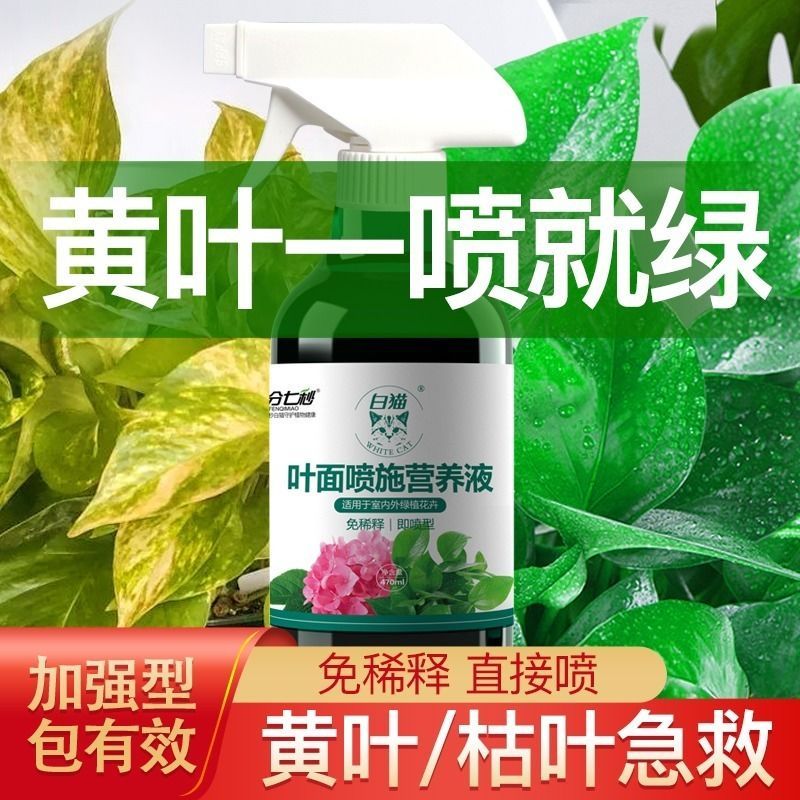 免稀释营养液通用型养花肥料绿色植物多肉富贵竹花肥花卉养花通用