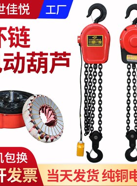 环链电动葫芦DHS型1t3米2t10T6米5吨380v电动链条式倒链提升机