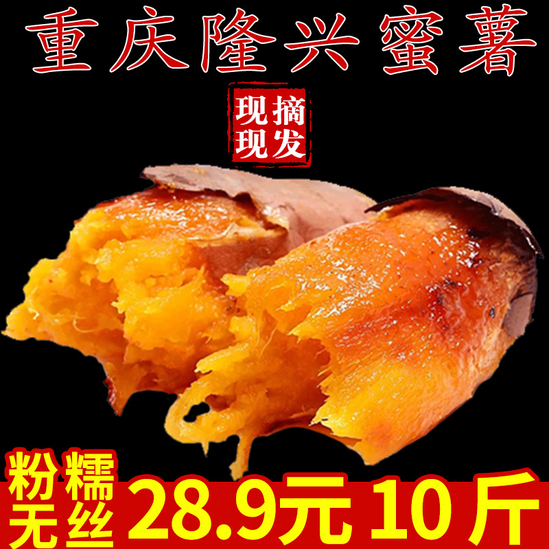 9月沙地红心蜜薯10斤整箱 红薯新鲜农家自种板栗香薯地瓜番薯山芋