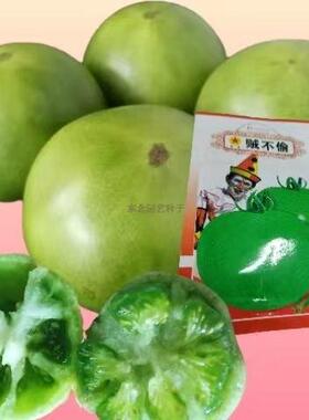 东北贼不偷番茄种子 绿色青皮水果西红柿老品种味道香球形柿子籽