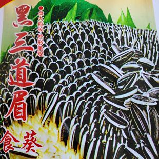 黑三道梅葵花种子东北老品种味道浓郁毛嗑向日葵种子菜园地头植物