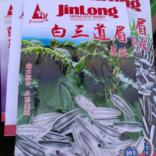 白三道眉种子向日葵花籽