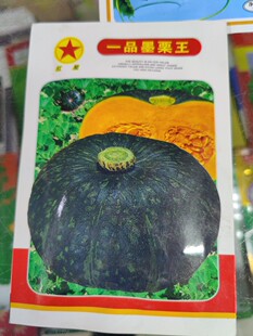 东北窝瓜籽 红星一品墨栗王绿板栗南瓜种子 果实沙面口感吉林面瓜