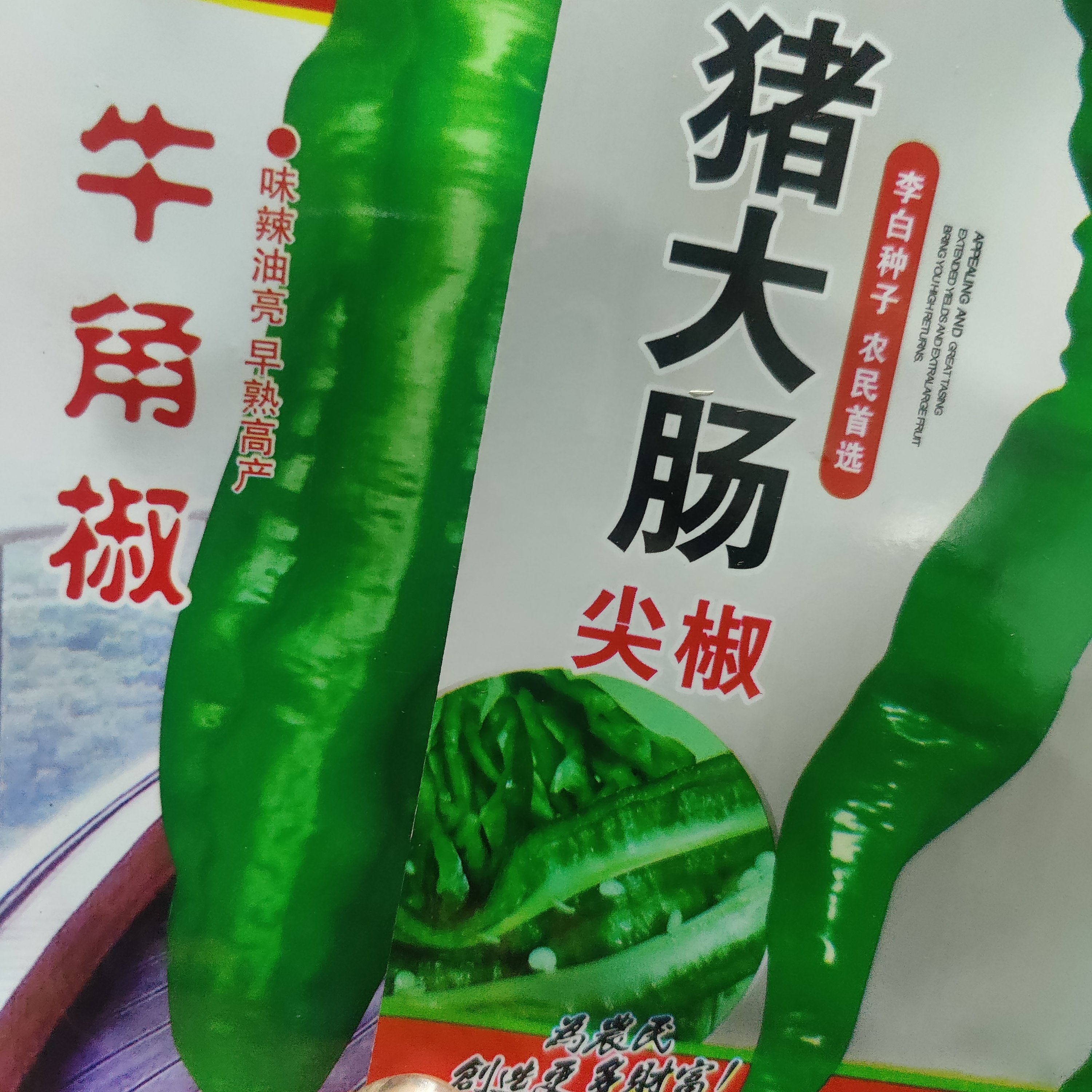 东北牛角椒种子 袋装吉林老品种蘸酱菜辣椒种籽羊角尖椒 早熟肉厚,鲜花速递/花卉仿真/绿植园艺,家庭园艺种子,淘宝优惠券,粉丝福利购,淘宝优惠卷