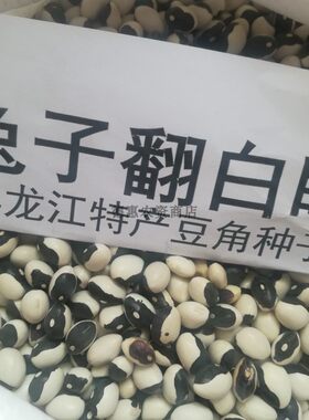 兔子翻白眼豆角种子黄豆老品种