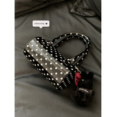 夏天手提包小拎包包女2024新款 潮韩国小众枕头包百搭多功能斜挎包