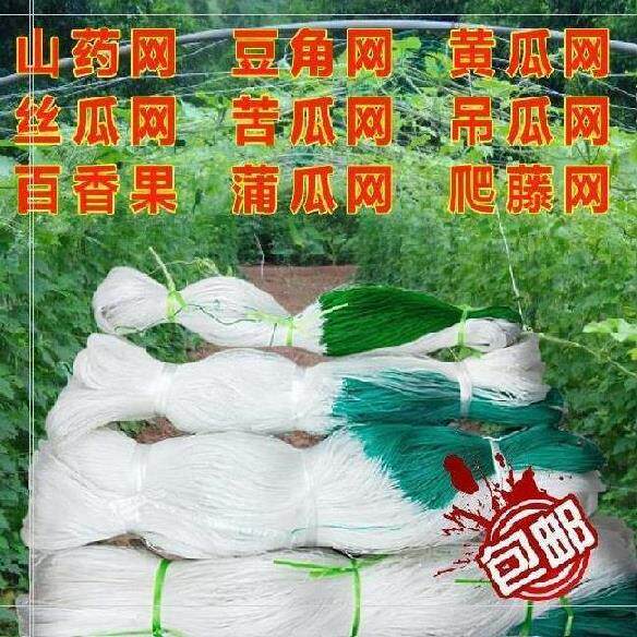 爬藤网格网袋花架棚青瓜白山药植物攀爬架葡萄水草种植网塑料围栏在类目 鲜花速递/花卉仿真/绿植园艺, 园艺用品, 其它园艺用品中 - 来自Buy2taobao.com提供专业的淘宝代购服务