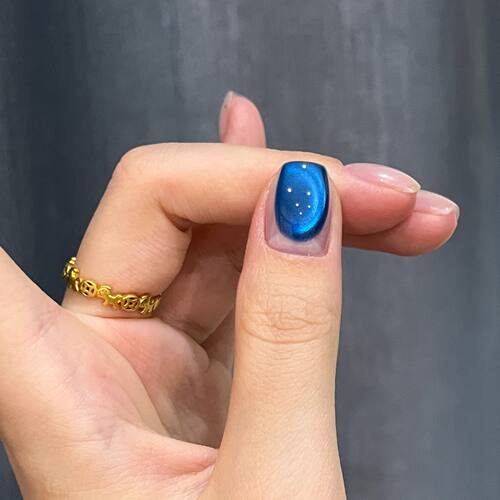 欧琳汀海洋之星猫眼网红流行甲油胶