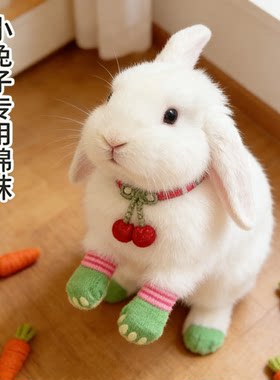 侏儒兔子冬季袜鞋保暖外出