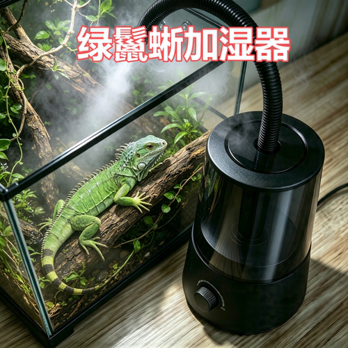 绿鬃蜥专用加湿器桌面爬宠植物保湿蜥蜴家用加湿器静音恒湿大雾量