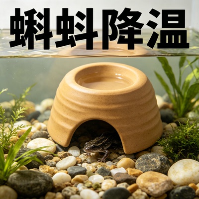 蝌蚪陶瓷窝爬宠屋晒台水碗造景用守宫岩石蛇乌龟躲避洞蜥蜴爬虫