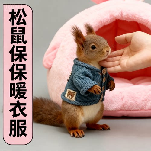 松鼠专用衣服超小号保暖秋