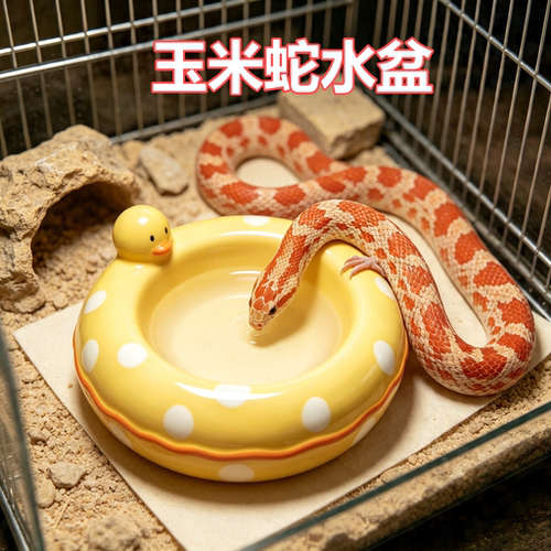 玉米猪鼻奶蛇专用草莓陶瓷碗仓鼠食水盆两用防翻碗浴室金丝熊宠物