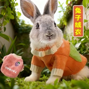 给小兔子穿的专用小衣服垂耳侏儒小白兔宠物过冬用品冬季保暖加绒