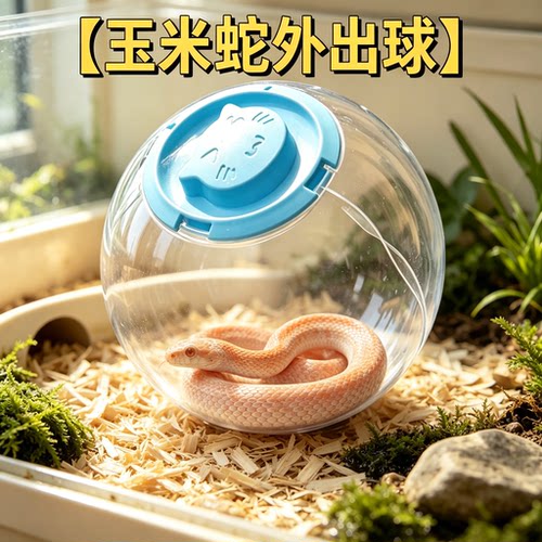 玉米蛇角蛙专用跑球玩具解闷神器透明滚球水晶宠物用品跑步球乌龟