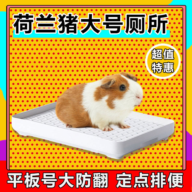 荷兰猪专用宠物兔子厕所大号豚鼠屎盆天竺鼠尿盆兔兔便盆用品大码,宠物/宠物食品及用品,兔兔厕所,淘宝优惠券,粉丝福利购,淘宝优惠卷