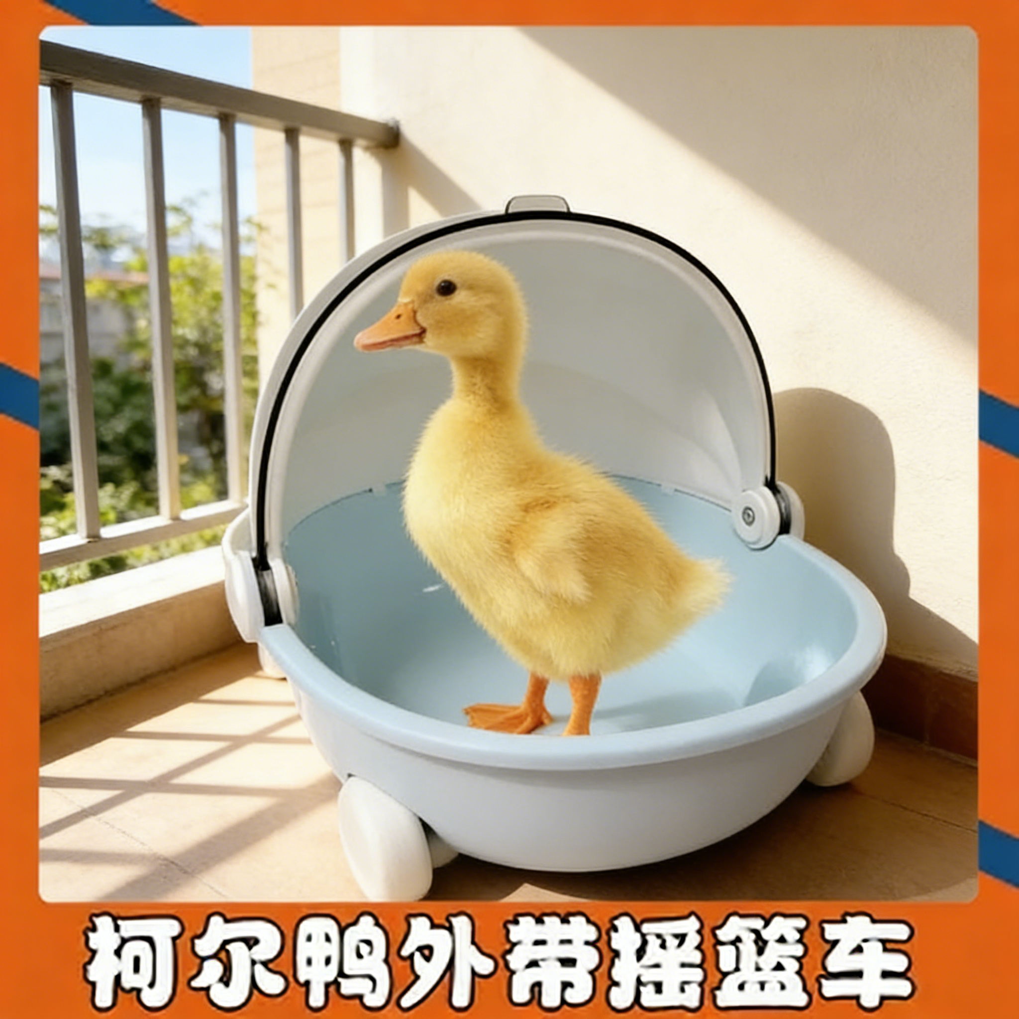 柯尔鸭外出包宠物溜小鸭子遛鸡兔出门外带包透明笼便携太空舱专用,宠物/宠物食品及用品,鸟笼,淘宝优惠券,粉丝福利购,淘宝优惠卷