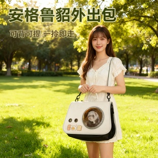 安格鲁貂外出包手提箱笼子宠物雪貂兔子龙猫松鼠外带背包出门神器
