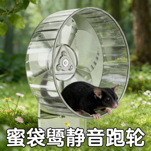 宠物用品蜜袋鼯亚克力透明