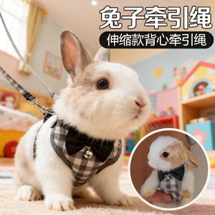 溜兔子牵引绳夏天防挣脱宠物外出专用侏儒兔子防咬可调节栓遛绳子