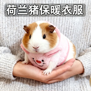 超小号荷兰猪衣服1斤内保暖防寒冷豚鼠刺猬穿的龙猫专用棉衣用品