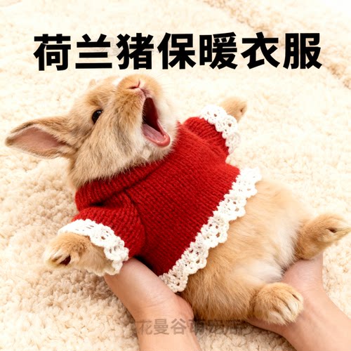 超小号宠物衣服1斤内保暖