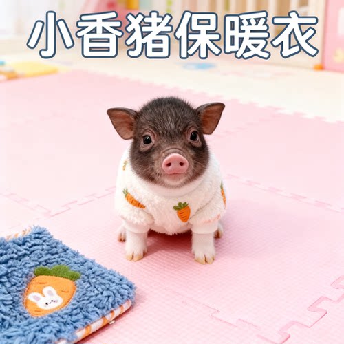 小香猪保暖衣服加绒厚秋冬